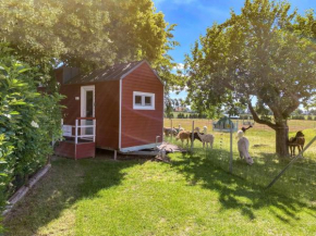Tiny House auf der Alpaka Farm in Rubkow